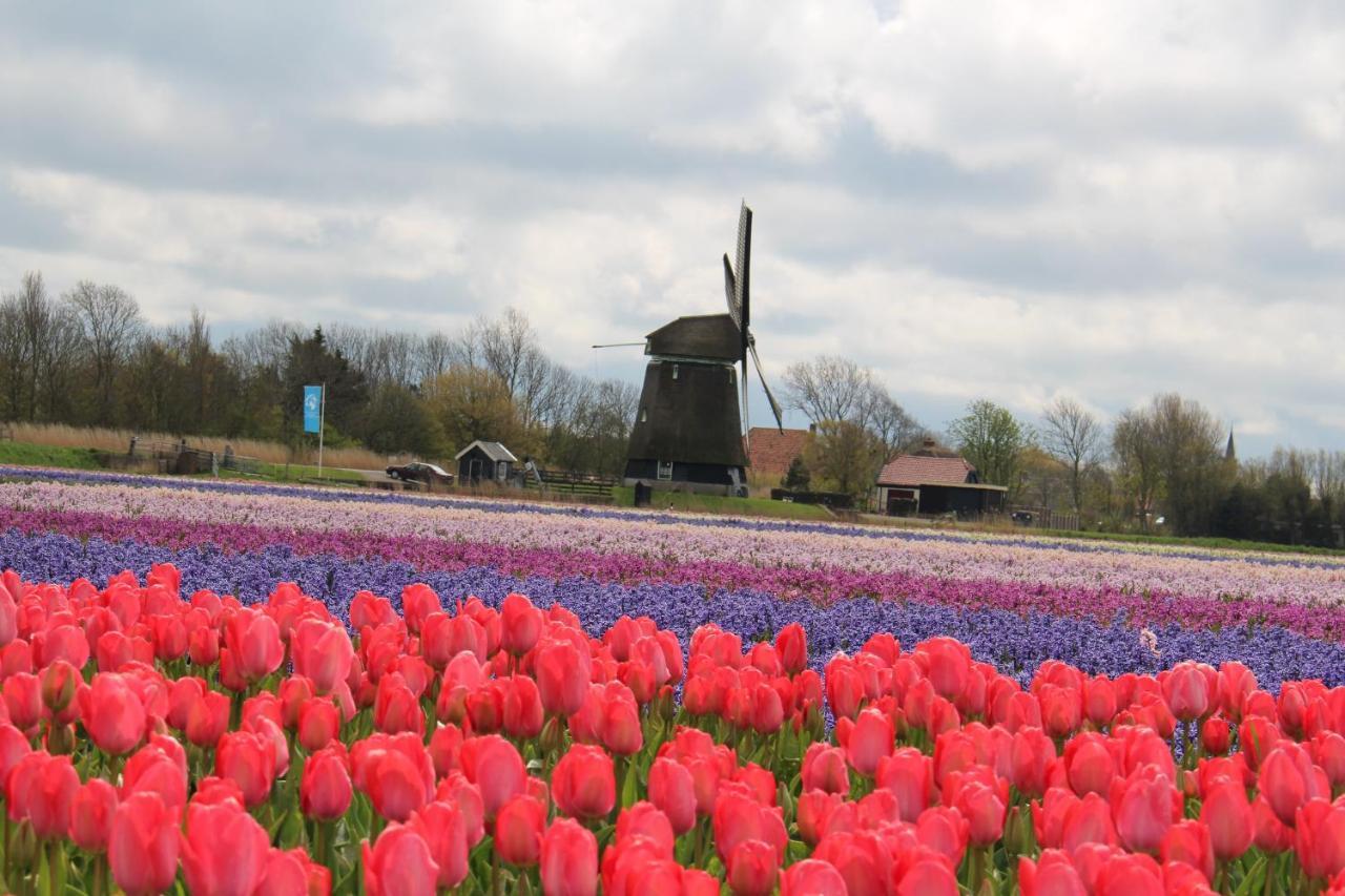 Vogelvrij, Vakantie Woning Met Landelijk Uitzicht En Geheel Omheinde Tuin Burgerbrug Eksteriør billede